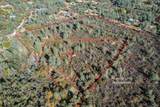  14.94 Acres Colley Lane - Photo 5