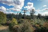  14.94 Acres Colley Lane - Photo 6