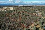  14.94 Acres Colley Lane - Photo 7