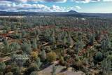  14.94 Acres Colley Lane - Photo 8