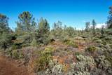  14.94 Acres Colley Lane - Photo 9