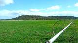 295 Co Rd 149 - Photo 1