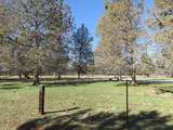 295 Co Rd 149 - Photo 13