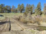295 Co Rd 149 - Photo 19