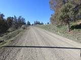 295 Co Rd 149 - Photo 36