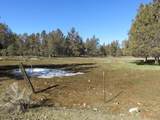295 Co Rd 149 - Photo 40
