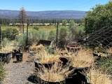 6.5 Acres  Ca-89 - Photo 5