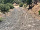 6.5 Acres  Ca-89 - Photo 7