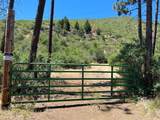 6.5 Acres  Ca-89 - Photo 8