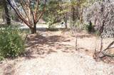 250 Bear Springs Road - Photo 10