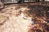 250 Bear Springs Road - Photo 11