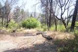 250 Bear Springs Road - Photo 2