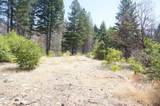 250 Bear Springs Road - Photo 5