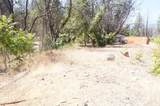 250 Bear Springs Road - Photo 7