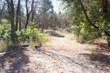 250 Bear Springs Road - Photo 8