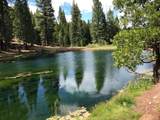 0 Sage View Circle - Photo 19