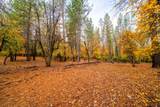 20433 Lakeshore Drive - Photo 63