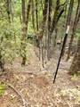  Mill Creek Drive - Photo 1