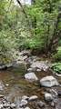  Mill Creek Drive - Photo 3