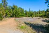  17 Acres in Lakehead - Photo 13