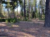 Lot #22 Broomsedge Place - Photo 9