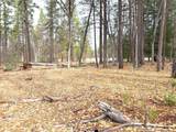  Vanishing Pines Road - Photo 1