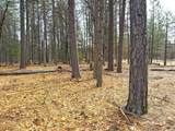  Vanishing Pines Road - Photo 10