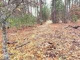  Vanishing Pines Road - Photo 13