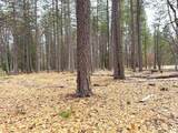  Vanishing Pines Road - Photo 5