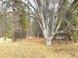  Vanishing Pines Road - Photo 6