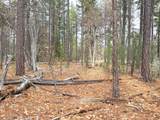  Vanishing Pines Road - Photo 7
