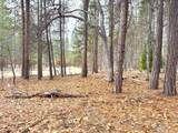  Vanishing Pines Road - Photo 8