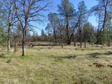 42 acres Ash Creek Road - Photo 1