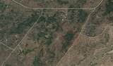 42 acres Ash Creek Road - Photo 33