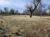 42 acres Ash Creek Road - Photo 6