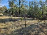 42 acres Ash Creek Road - Photo 7