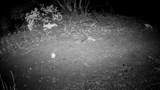 000 Hwy 299E - Photo 12