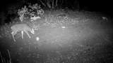000 Hwy 299E - Photo 13