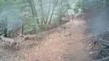 000 Hwy 299E - Photo 14