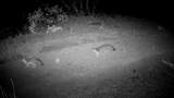 000 Hwy 299E - Photo 16