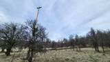 000 Old Stage Road - Photo 30