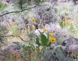 3720 Co Rd 118 - Photo 32