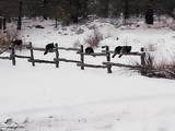 3720 Co Rd 118 - Photo 36