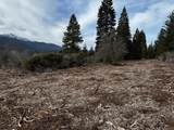  Mt. Shasta Boulevard - Photo 17