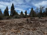  Mt. Shasta Boulevard - Photo 19
