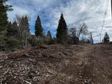  Mt. Shasta Boulevard - Photo 25