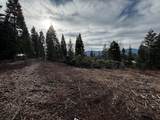  Mt. Shasta Boulevard - Photo 6