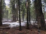  5.19 Ac Side Bottom Road - Photo 11