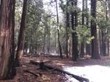  5.19 Ac Side Bottom Road - Photo 12