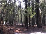  5.19 Ac Side Bottom Road - Photo 13